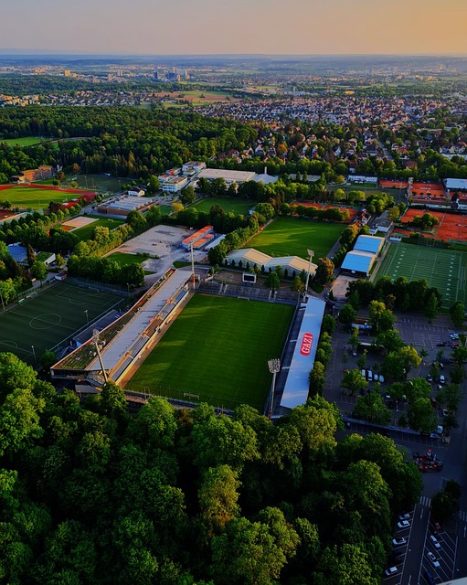 在篮板球的 在篮板球的