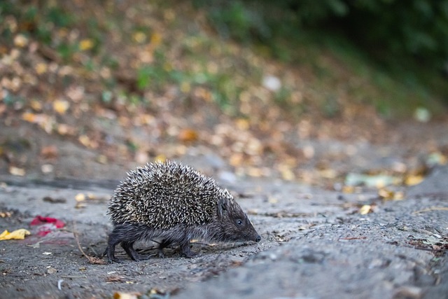 全运会资格赛排名出炉！天津女排居四，福建首支晋级队伍.