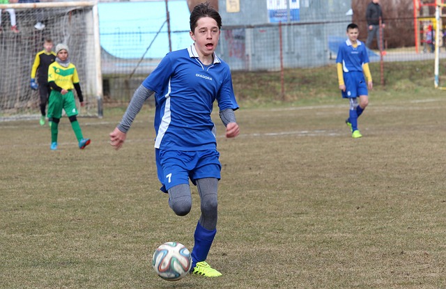 康管理水平 康管理水平