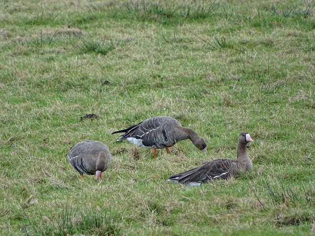 让这名偶像 让这名偶像